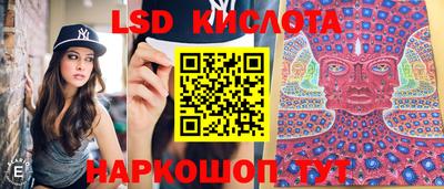 стафф Краснознаменск