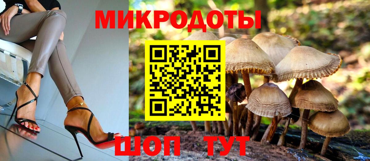 Псилоцибиновые грибы Cubensis Тольятти